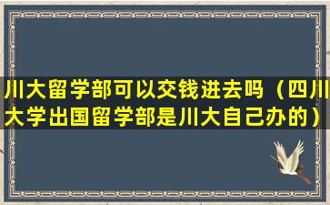 川大留学部可以交钱进去吗（四川大学出国留学部是川大自己办的）