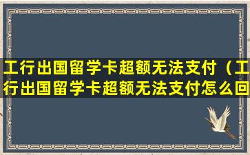 工行出国留学卡超额无法支付（工行出国留学卡超额无法支付怎么回事）