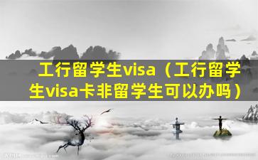 工行留学生visa（工行留学生visa卡非留学生可以办吗）