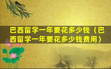 巴西留学一年要花多少钱（巴西留学一年要花多少钱费用）