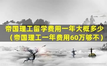 帝国理工留学费用一年大概多少（帝国理工一年费用60万够不）