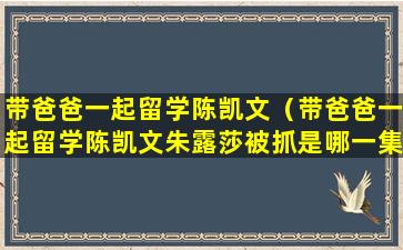 带爸爸一起留学陈凯文（带爸爸一起留学陈凯文朱露莎被抓是哪一集）