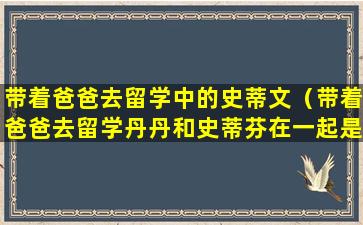 带着爸爸去留学中的史蒂文（带着爸爸去留学丹丹和史蒂芬在一起是哪集）