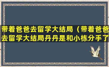 带着爸爸去留学大结局（带着爸爸去留学大结局丹丹是和小栋分手了吗）