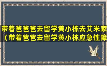 带着爸爸爸去留学黄小栋去艾米家（带着爸爸去留学黄小栋应急性障碍咋回事）