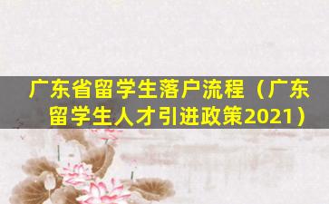 广东省留学生落户流程（广东留学生人才引进政策2021）