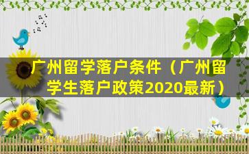 广州留学落户条件（广州留学生落户政策2020最新）