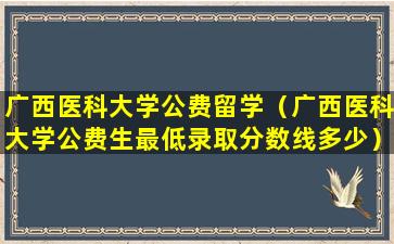 广西医科大学公费留学（广西医科大学公费生最低录取分数线多少）