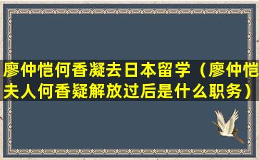 廖仲恺何香凝去日本留学（廖仲恺夫人何香疑解放过后是什么职务）