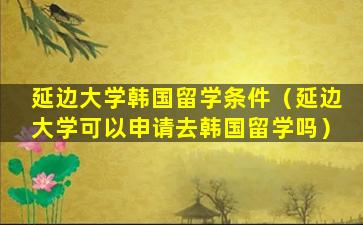 延边大学韩国留学条件（延边大学可以申请去韩国留学吗）