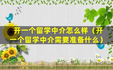 开一个留学中介怎么样（开一个留学中介需要准备什么）