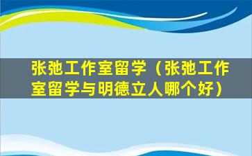 张弛工作室留学（张弛工作室留学与明德立人哪个好）