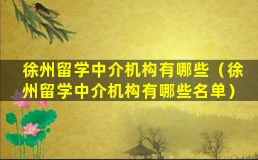 徐州留学中介机构有哪些（徐州留学中介机构有哪些名单）