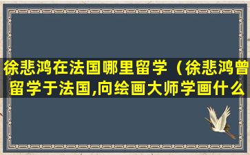 徐悲鸿在法国哪里留学（徐悲鸿曾留学于法国,向绘画大师学画什么）