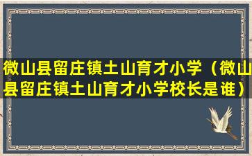 微山县留庄镇土山育才小学（微山县留庄镇土山育才小学校长是谁）