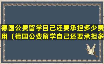 德国公费留学自己还要承担多少费用（德国公费留学自己还要承担多少费用呢）