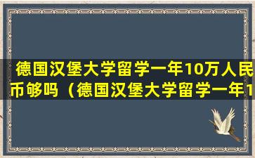 德国汉堡大学留学一年10万人民币够吗（德国汉堡大学留学一年10万人民币够吗多少钱）