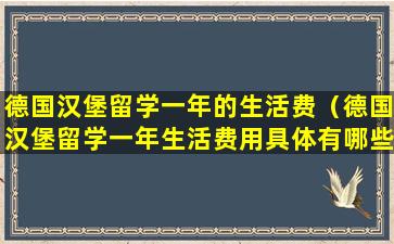 德国汉堡留学一年的生活费（德国汉堡留学一年生活费用具体有哪些）