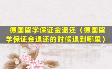 德国留学保证金退还（德国留学保证金退还的时候退到哪里）