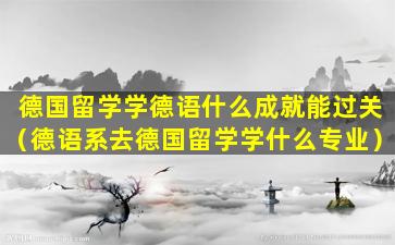 德国留学学德语什么成就能过关（德语系去德国留学学什么专业）