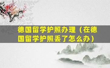 德国留学护照办理（在德国留学护照丢了怎么办）