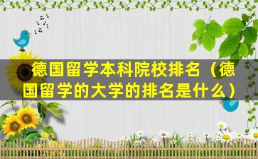 德国留学本科院校排名（德国留学的大学的排名是什么）