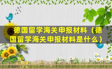 德国留学海关申报材料（德国留学海关申报材料是什么）