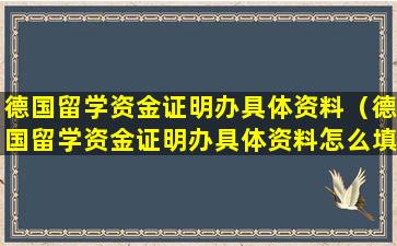 德国留学资金证明办具体资料（德国留学资金证明办具体资料怎么填）