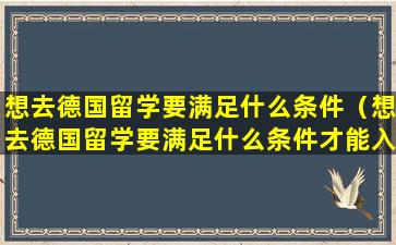 想去德国留学要满足什么条件（想去德国留学要满足什么条件才能入籍）