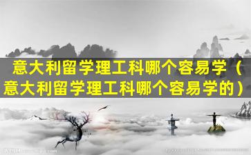 意大利留学理工科哪个容易学（意大利留学理工科哪个容易学的）