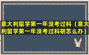 意大利留学第一年没考过科（意大利留学第一年没考过科研怎么办）