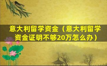 意大利留学资金（意大利留学资金证明不够20万怎么办）