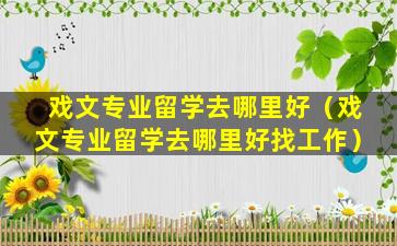 戏文专业留学去哪里好（戏文专业留学去哪里好找工作）