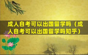 成人自考可以出国留学吗（成人自考可以出国留学吗知乎）