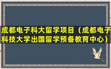 成都电子科大留学项目（成都电子科技大学出国留学预备教育中心）