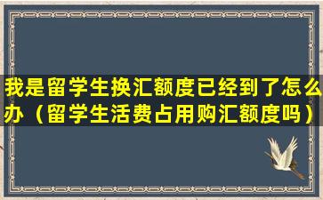 我是留学生换汇额度已经到了怎么办（留学生活费占用购汇额度吗）