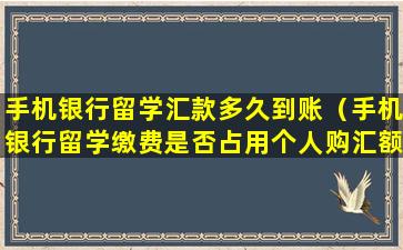 手机银行留学汇款多久到账（手机银行留学缴费是否占用个人购汇额度）