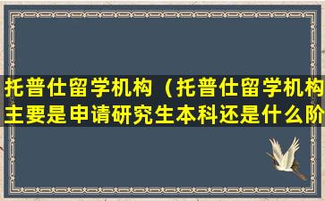 托普仕留学机构（托普仕留学机构主要是申请研究生本科还是什么阶段）