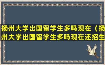 扬州大学出国留学生多吗现在（扬州大学出国留学生多吗现在还招生吗）