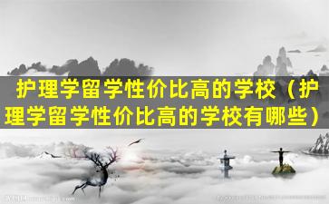 护理学留学性价比高的学校（护理学留学性价比高的学校有哪些）