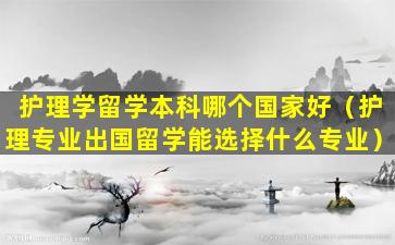 护理学留学本科哪个国家好（护理专业出国留学能选择什么专业）