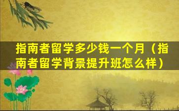 指南者留学多少钱一个月（指南者留学背景提升班怎么样）