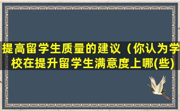 提高留学生质量的建议（你认为学校在提升留学生满意度上哪(些)方面需要改进）