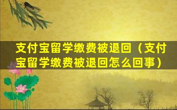 支付宝留学缴费被退回（支付宝留学缴费被退回怎么回事）