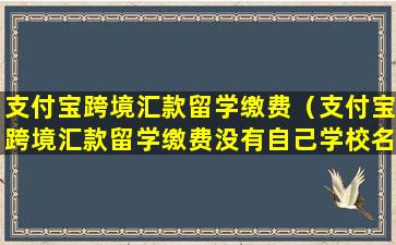 支付宝跨境汇款留学缴费（支付宝跨境汇款留学缴费没有自己学校名单）