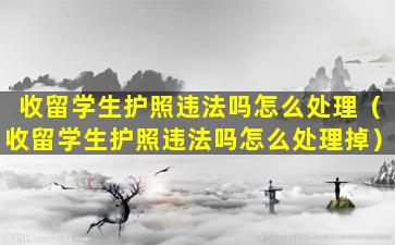 收留学生护照违法吗怎么处理（收留学生护照违法吗怎么处理掉）