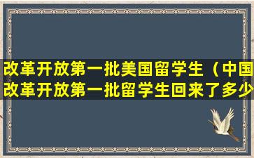 改革开放第一批美国留学生（中国改革开放第一批留学生回来了多少）