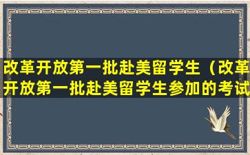 改革开放第一批赴美留学生（改革开放第一批赴美留学生参加的考试）