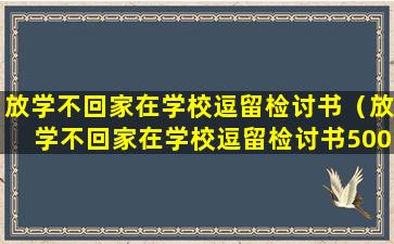 放学不回家在学校逗留检讨书（放学不回家在学校逗留检讨书500字）