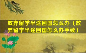 放弃留学半途回国怎么办（放弃留学半途回国怎么办手续）